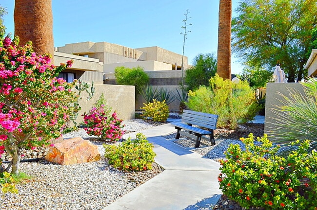 Photo - "Spacious 960 Sq Ft Studio Oasis in Vibrant Palm Springs!" Unidad 53