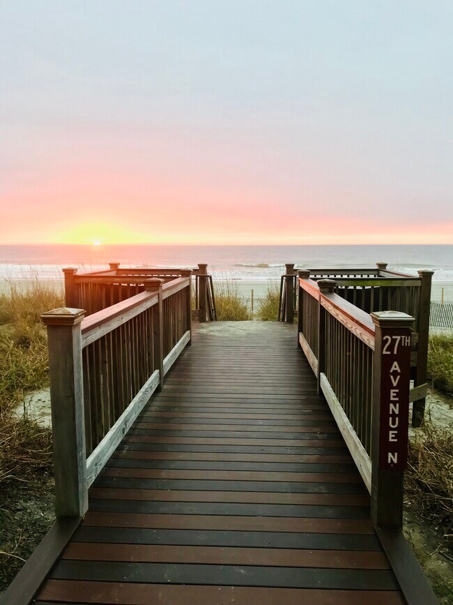 Photo - Blue Palmetto