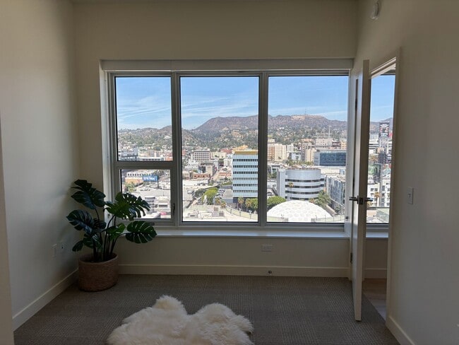 Photo - Jardine Hollywood