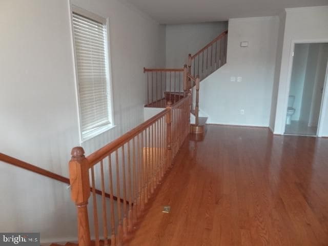 4613 Hummingbird Ln Unit 108
