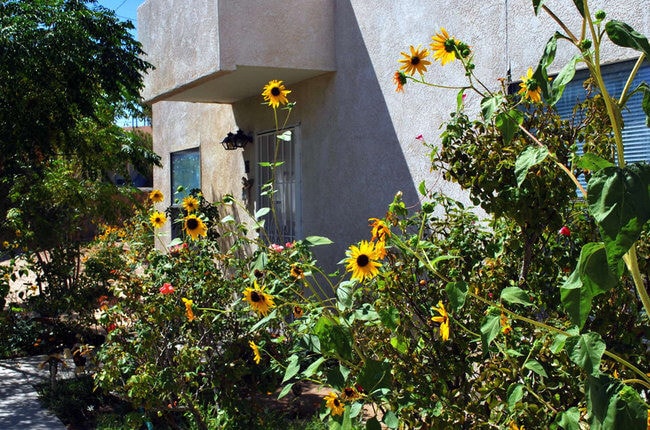 Photo - Villa del Sol Senior Apartments