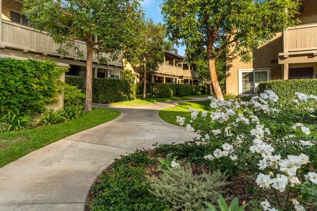 Arbor Ranch