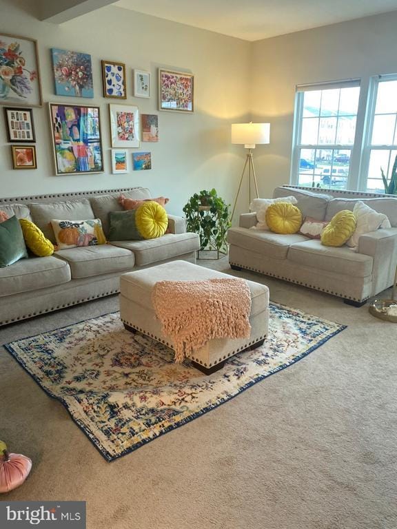 Photo - 505 Tifton Ln