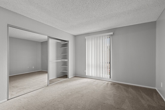 1 Bedroom - Hidden Springs Apartments