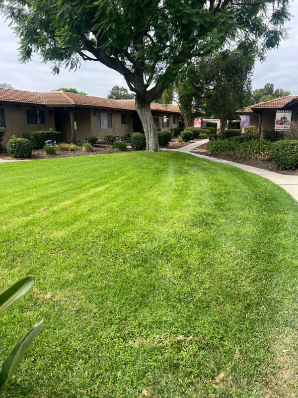 Photo - 145 N Cambridge Ave Unidad 133 N Cambridge Ave