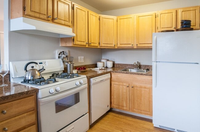 Photo - Metropolitan Manayunk Hill