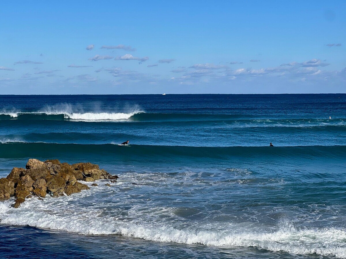 Photo - 1239 Hillsboro Mile Unit 109