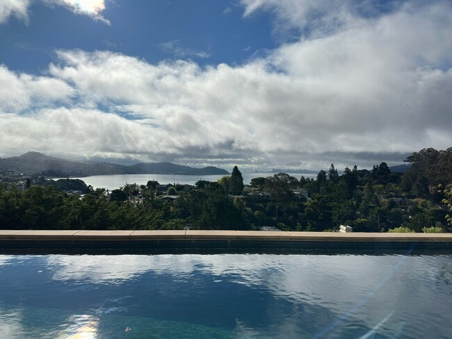 View of the San Francisco skyline from the infinity pool. - 115 Inez Pl