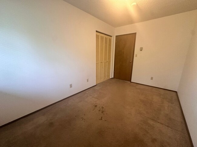 Photo - Olympic Vue Apartments Unit 1013  3
