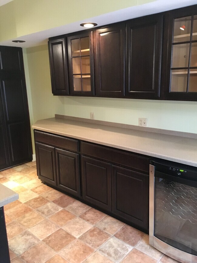 Kitchen - 213 E Water St Unit 213