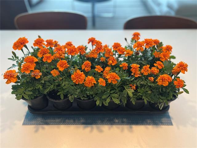 Photo - 3131 NE 7th Ave