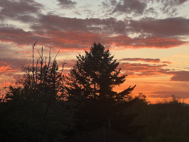 Sunset close up from deck - 6924 SE 108th Ave Unit LOFT Bike Run Paradise