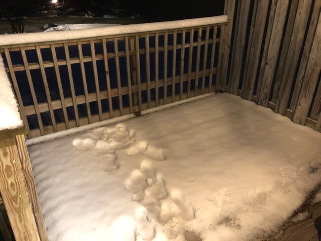 terraza trasera fuera de la cocina - 99 Shirley Cir