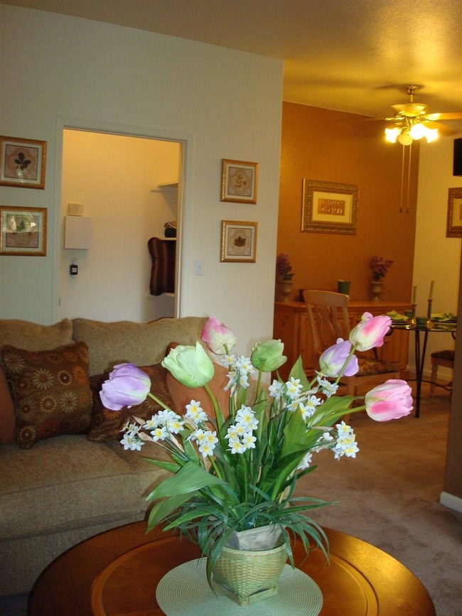 Photo - Diamond Sands on the Boulevard