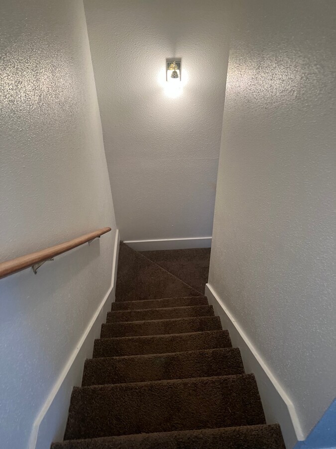 Photo - 155 Sprucewood Ln