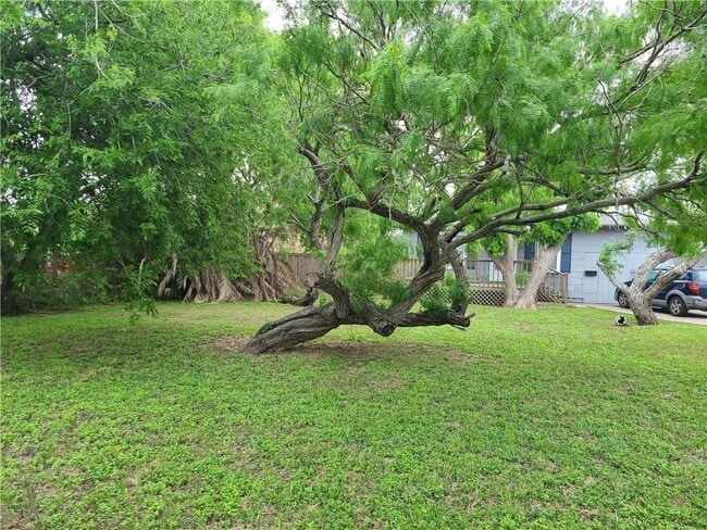 Photo - 301 Primrose Dr