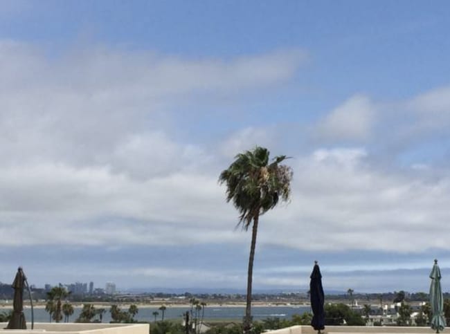 Building Photo - $5,700- 2 Bedroom + Office / 3 Bath GORGEOUS-Bayview Town Home