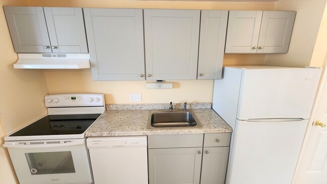 Building Photo - 918 S Logan St Unit 305 Rental