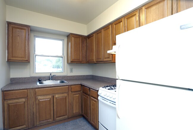 One Bedroom - Kitchen
