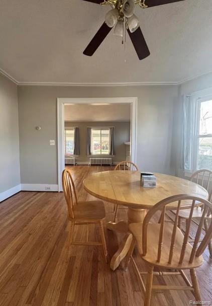 Photo - 355 Poplar St