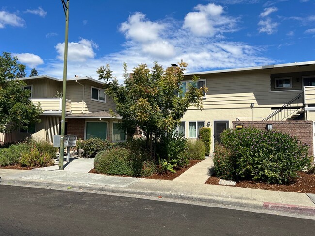 Upgraded 2 bed 1 bath Condo in Mountain View. - Upgraded 2 bed 1 bath Condo in Mountain View.