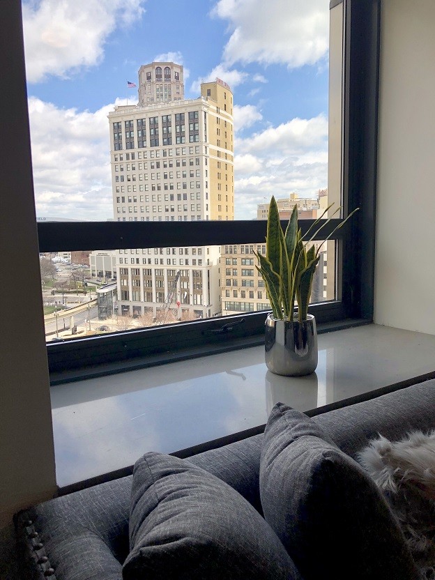 Window