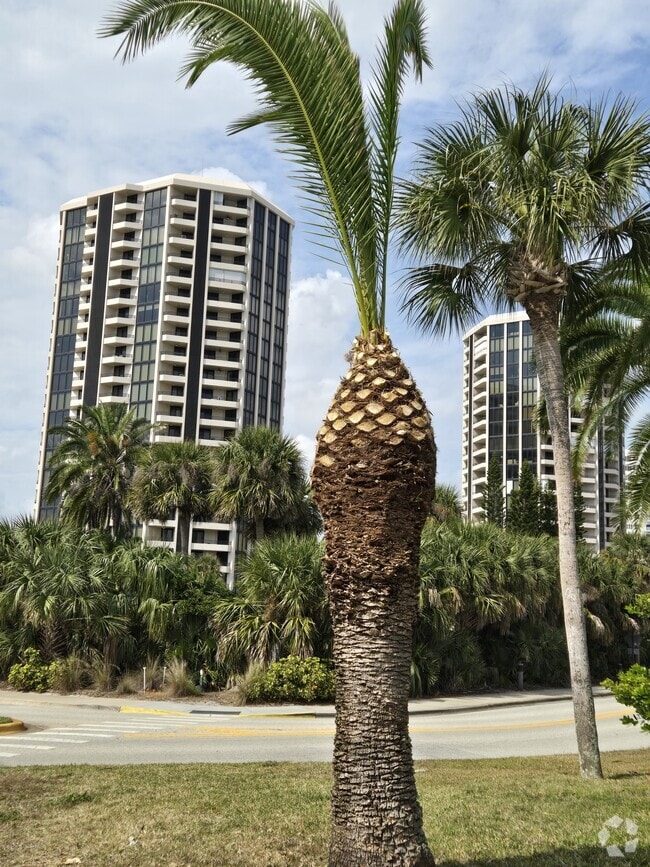 Building Photo - 1 Oceans West Blvd Unit Oceans West One 19B6 Rental