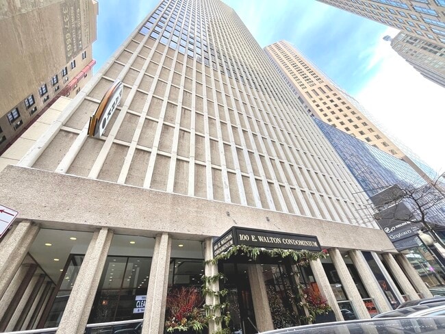 Building Photo - 100 E Walton Pl Unit 14A