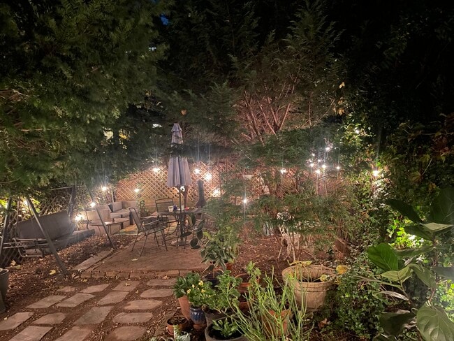The garden at night.