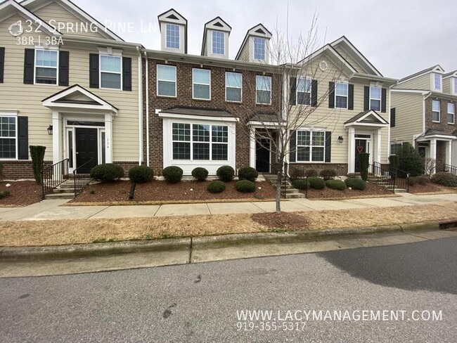 Building Photo - 132 Spring Pine Ln