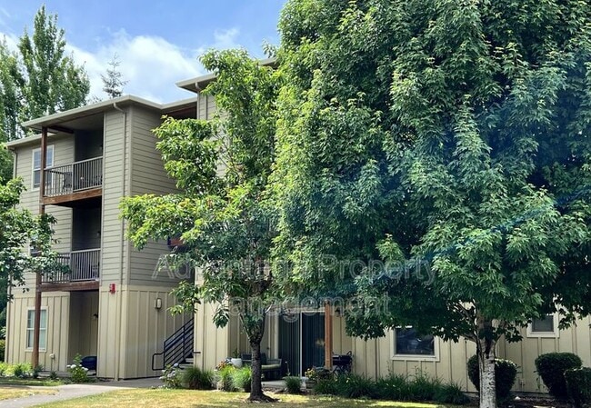 Photo - 519 Catron St N