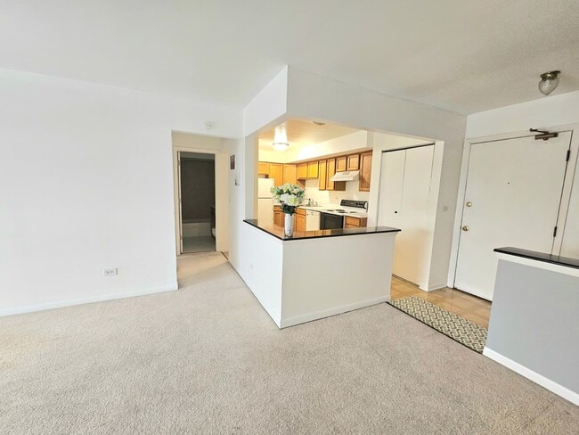 Photo - 2226 S Goebbert Rd Unit 473