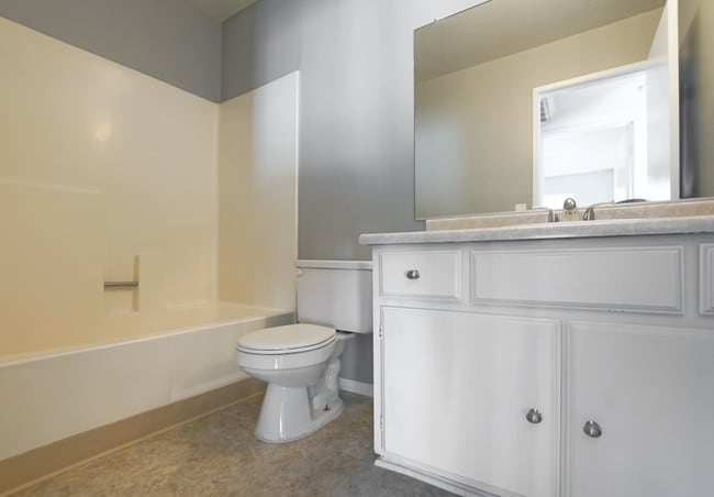 Photo - Bamboo Garden