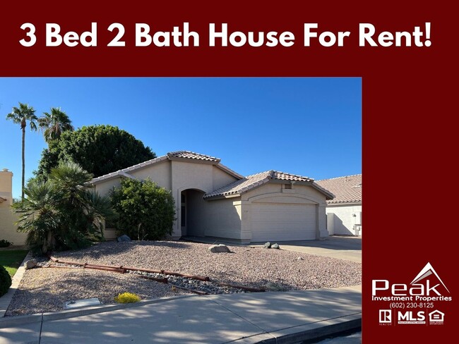 Beautiful 3 Bed 2 Bath House For Rent Gilbert - Beautiful 3 Bed 2 Bath House For Rent Gilbert