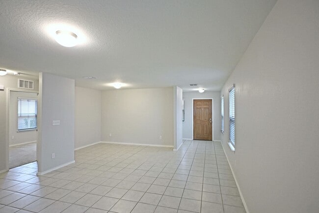 Photo - 458 Russian Sage