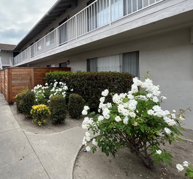 outside of building - 9822 Acacia Ave Rental