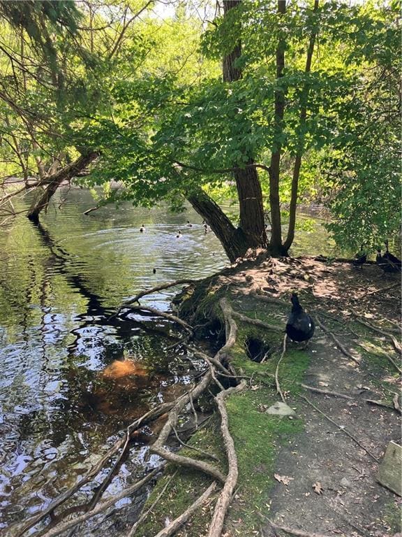 Photo - 100 Forge Rd