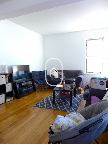 Photo - 31 Cunard St