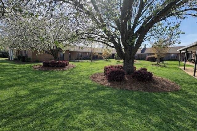 Summer Lane Apartments