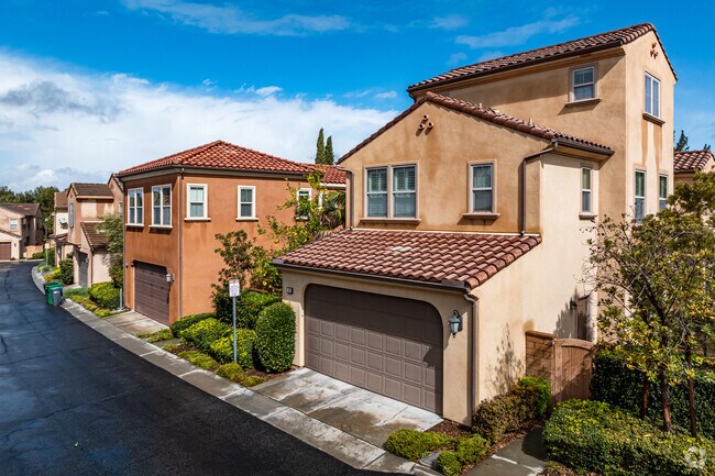 48 Cactus Bloom - Vientos