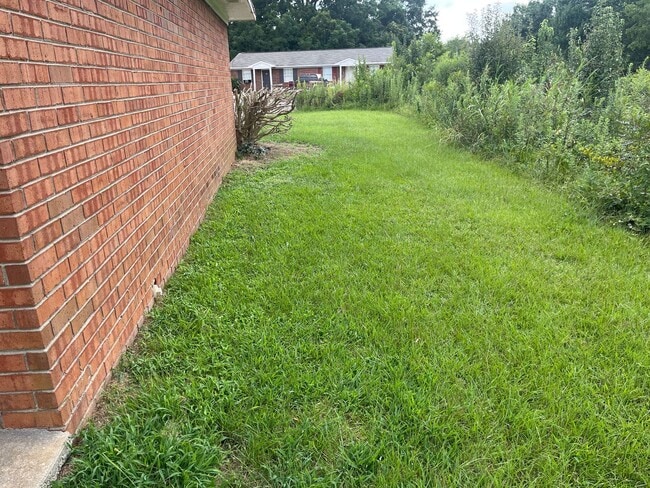 Photo - 2 Bed, 1 Bath Apartment Unit 11