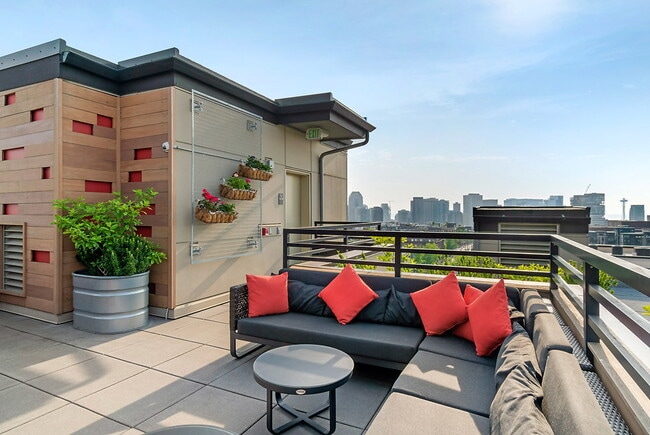 Photo - Collins on Pine