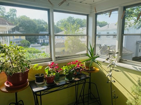 Photo - 11 Kenmore Rd Unidad 2