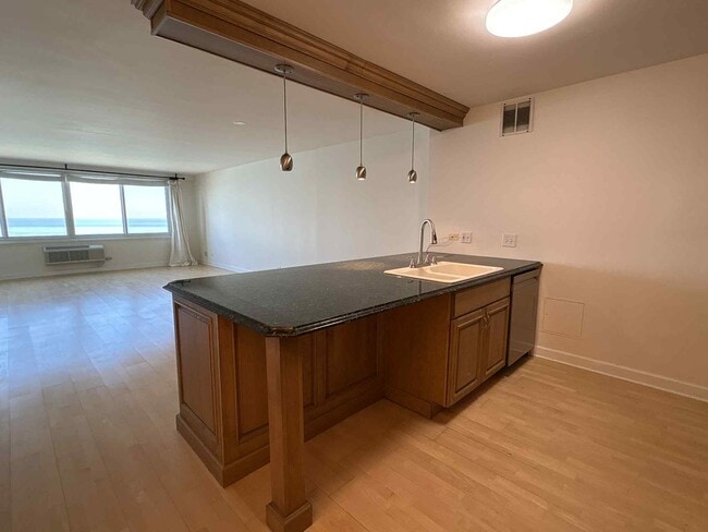 Photo - 1440 N Lake Shore Dr Unidad 21E