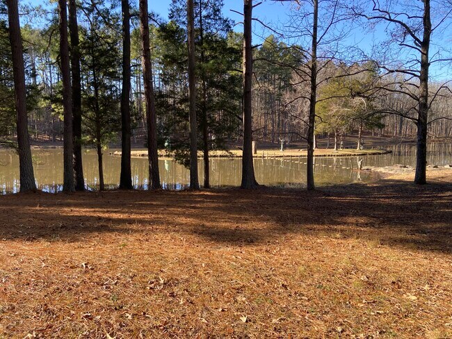 Photo - 1020 Shanti Rd