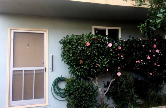 Photo - NEW LISTING! Walk 1 Block To Downtown! LG. 1 BR/1BA, Hdwd Flrs,Big Walk-In Closet!