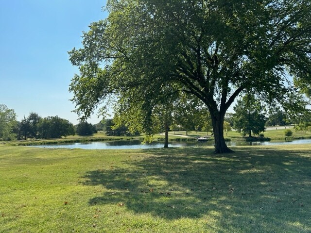 Jones Park 2