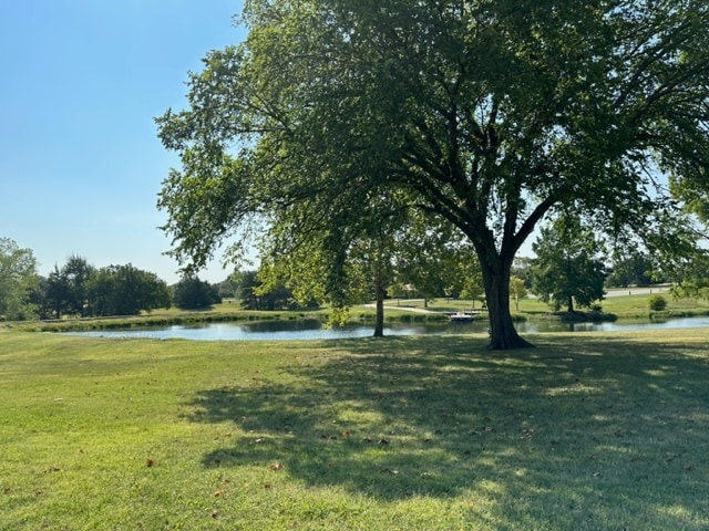 Jones Park 2
