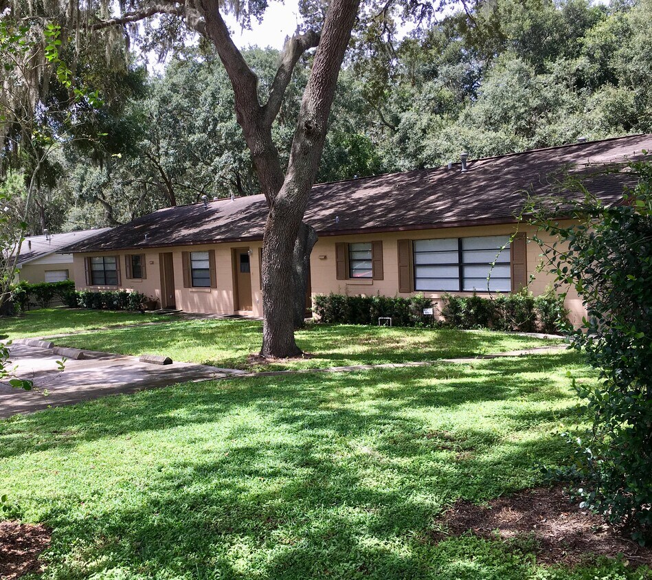 Photo - 442 Village Ct (Minneola, FL)