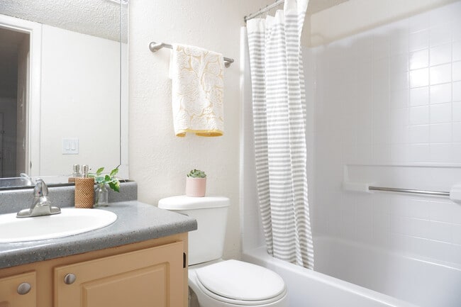 Photo - Coconut Palms